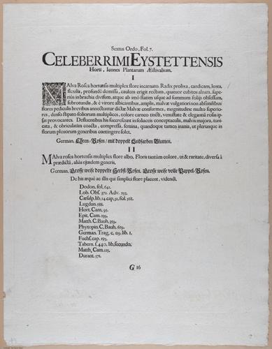 E374 - Various Rich Breiman - i16395