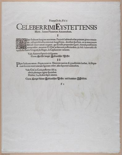 E374 - Various Rich Breiman - i16397
