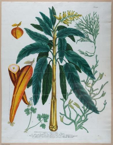 E374 - Various Rich Breiman - i16400