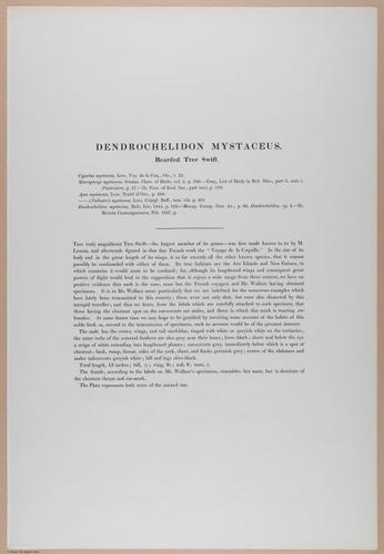 E374 - Various Rich Breiman - i16402