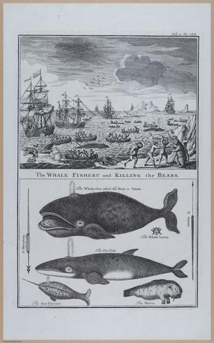 E374 - Various Rich Breiman - i16472