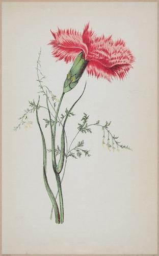 E364 - The Lady's Book of Flowers and Poetry - 14001