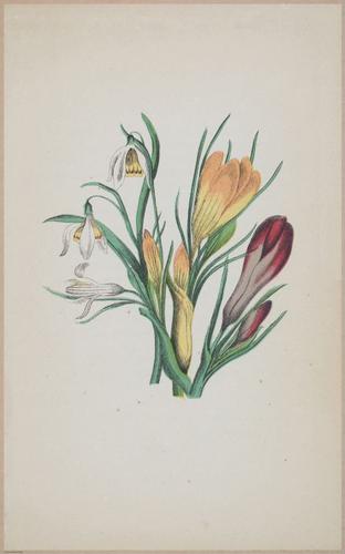 E364 - The Lady's Book of Flowers and Poetry - 14003