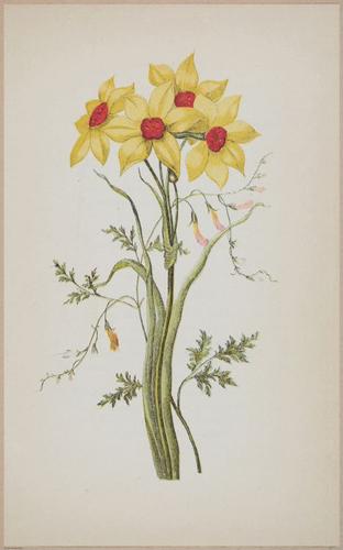 E364 - The Lady's Book of Flowers and Poetry - 14009