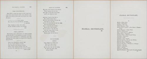E364 - The Lady's Book of Flowers and Poetry - 14010-14012-14013-14014