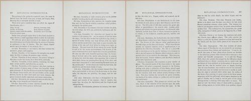 E364 - The Lady's Book of Flowers and Poetry - 14045-14046-14047-14048
