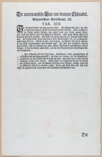 E453 - Various Rich Breiman- i16847