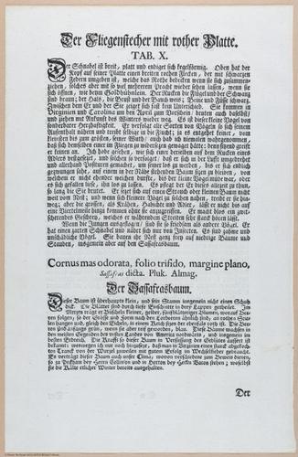 E453 - Various Rich Breiman- i16850