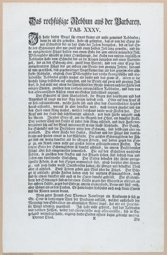 E453 - Various Rich Breiman- i16857