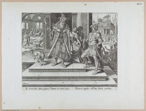 E455 - Various Rich Breiman- i16876