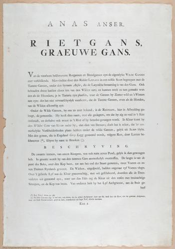 E460 - Various Rich Breiman- i17021