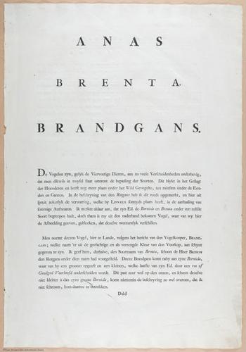 E460 - Various Rich Breiman- i17027