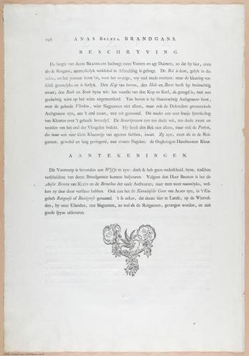 E460 - Various Rich Breiman- i17028