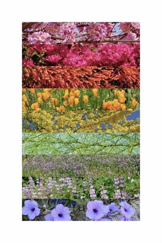 Flowers 22x33