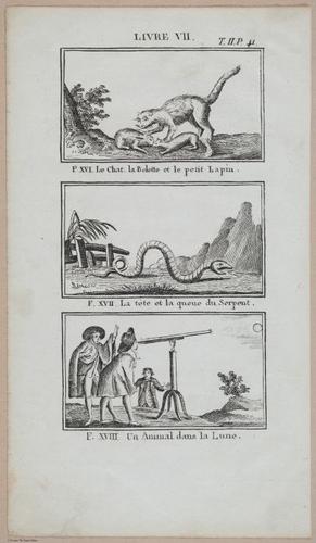 E387 - Fables Choises - i14907