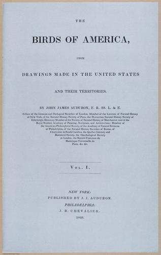 E389 - Audubon Birds - i17862