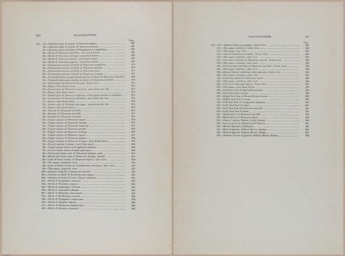E366 - US Geological Survey - 1885 - 14264-14265