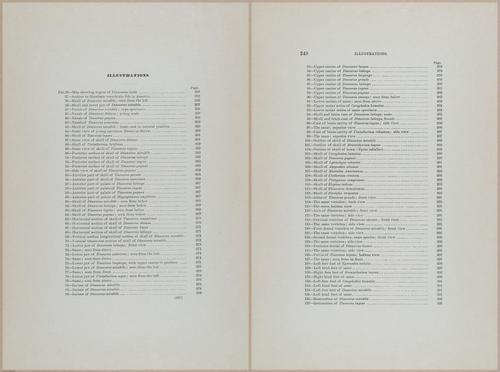 E366 - US Geological Survey - 1885 - 14554-14555