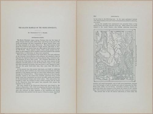 E366 - US Geological Survey - 1885 - 14556-14557