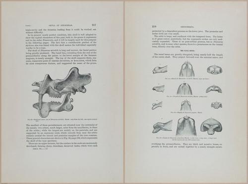 E366 - US Geological Survey - 1885 - 14565-14566