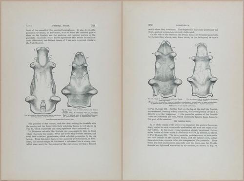 E366 - US Geological Survey - 1885 - 14569-14570