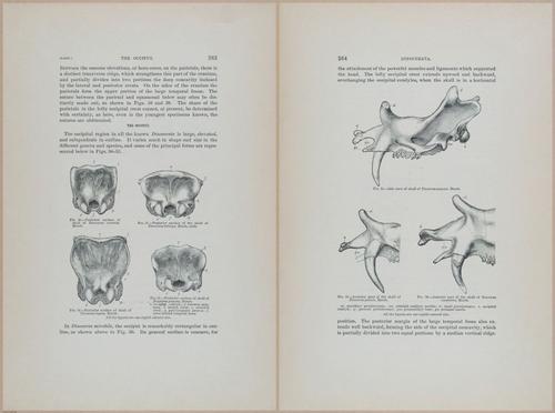 E366 - US Geological Survey - 1885 - 14572-14573