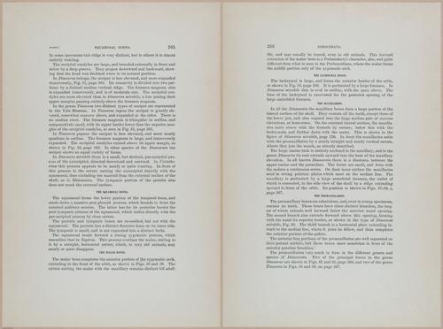 E366 - US Geological Survey - 1885 - 14574-14575