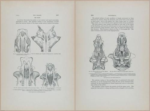 E366 - US Geological Survey - 1885 - 14576-14577