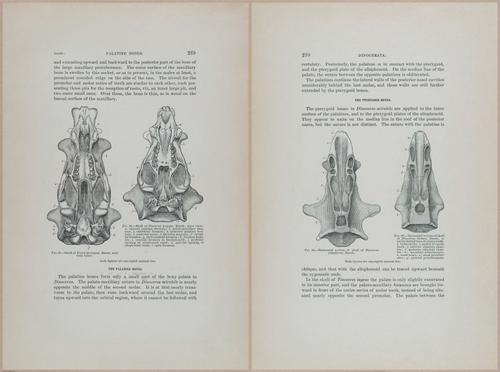 E366 - US Geological Survey - 1885 - 14578-14580