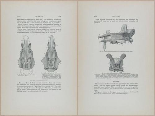 E366 - US Geological Survey - 1885 - 14581-14582