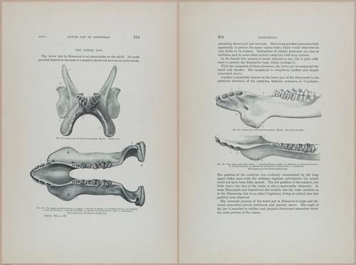 E366 - US Geological Survey - 1885 - 14583-14584
