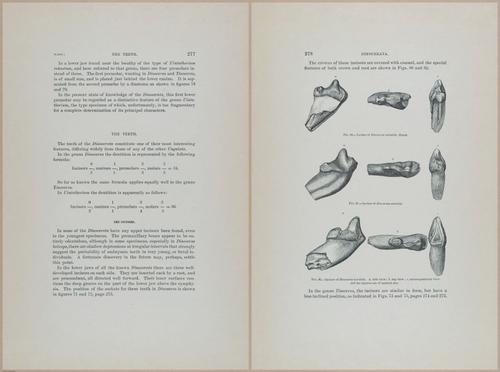 E366 - US Geological Survey - 1885 - 14587-14588