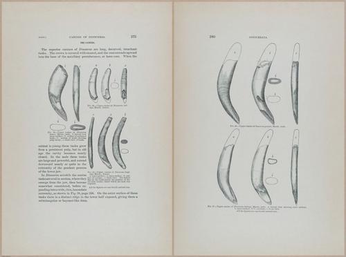 E366 - US Geological Survey - 1885 - 14589-14590
