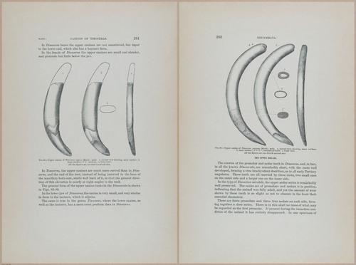 E366 - US Geological Survey - 1885 - 14591-14592