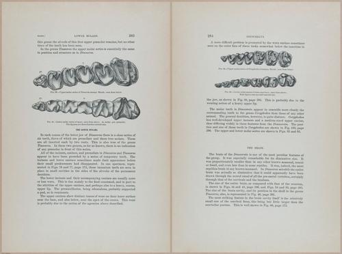 E366 - US Geological Survey - 1885 - 14593-14594
