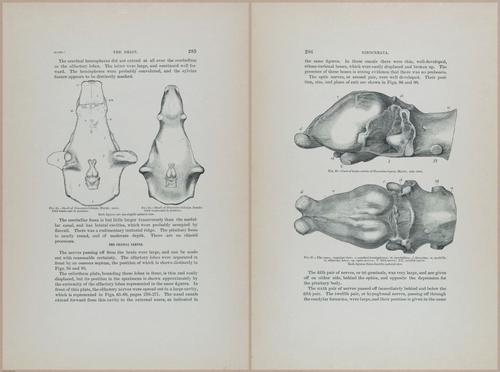 E366 - US Geological Survey - 1885 - 14595-14596
