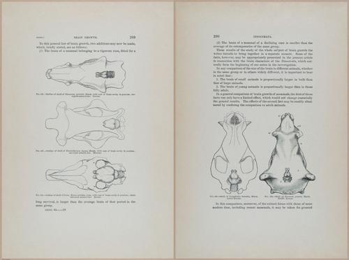 E366 - US Geological Survey - 1885 - 14599-14600