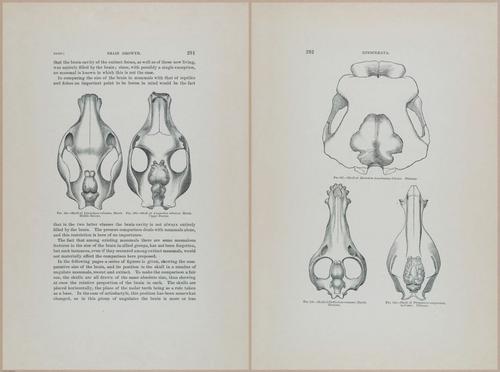 E366 - US Geological Survey - 1885 - 14601-14602