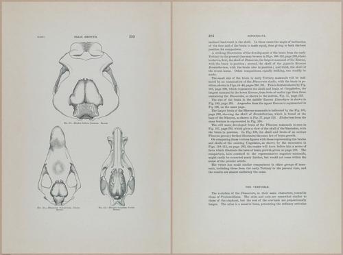 E366 - US Geological Survey - 1885 - 14603-14604