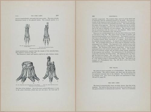E366 - US Geological Survey - 1885 - 14609-14610