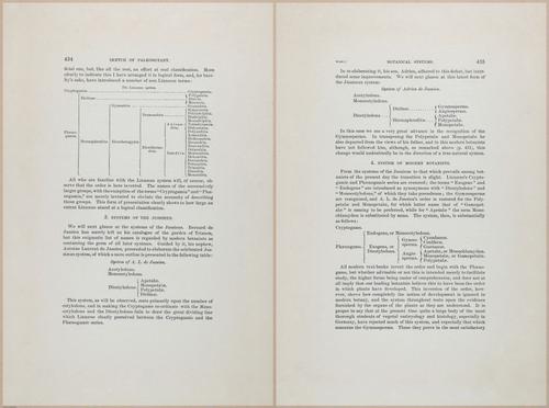 E366 - US Geological Survey - 1885 - 17215-17216