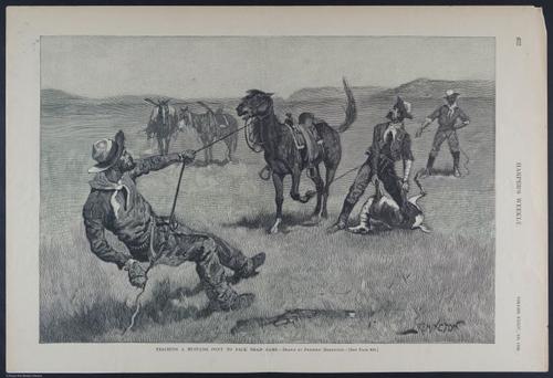 E392 - Harper_s Weekly folio pages - i17940