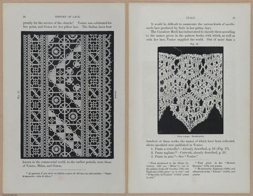 E359 - A History of Lace 1875 - 13670 - 13671