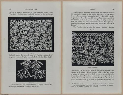 E359 - A History of Lace 1875 - 13676 - 13677
