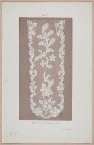 E359 - A History of Lace 1875 - 15346