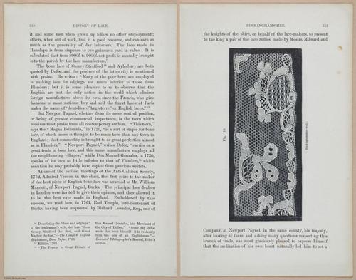 E359 - A History of Lace 1875 - 15487 - 15488