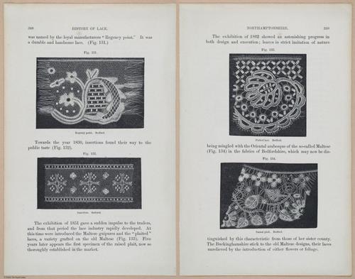 E359 - A History of Lace 1875 - 15495 - 15496