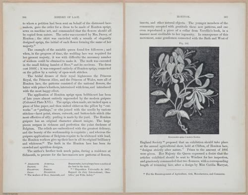 E359 - A History of Lace 1875 - 15511 - 15513