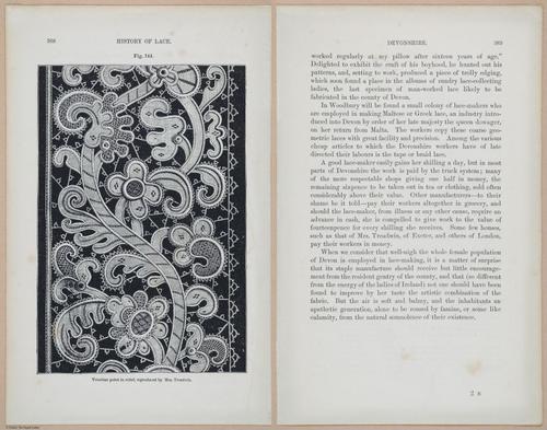 E359 - A History of Lace 1875 - 15516 - 15517