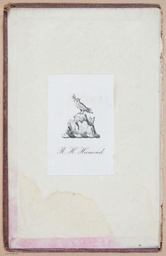 E359 - A History of Lace 1875 - 15606